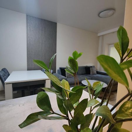 V15 Apartment Druskininkai Esterno foto