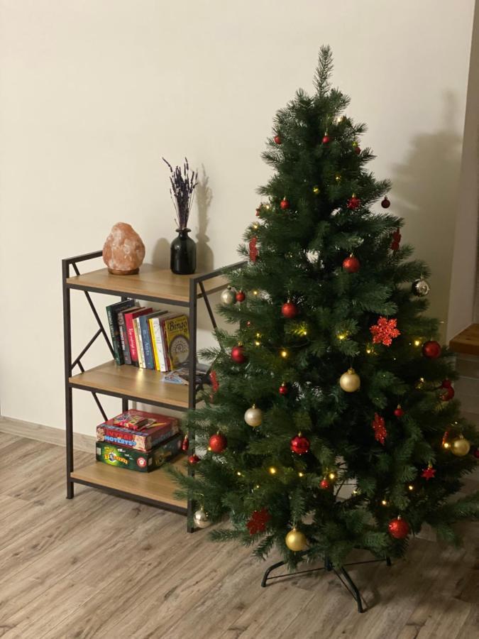 V15 Apartment Druskininkai Esterno foto